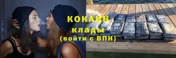 сатива Абаза
