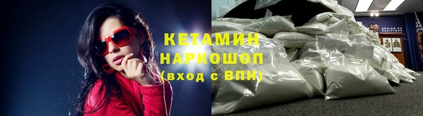 сатива Абаза