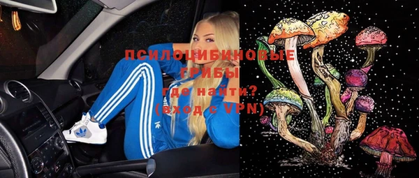 сатива Абаза