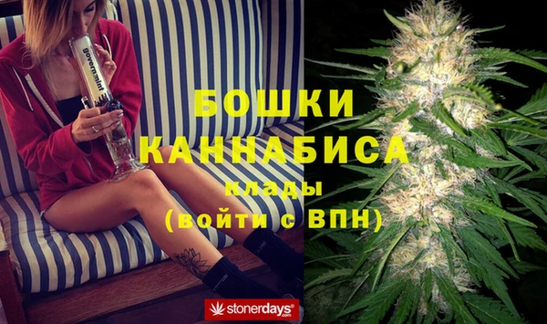 сатива Абаза