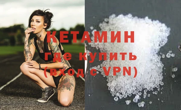 сатива Абаза