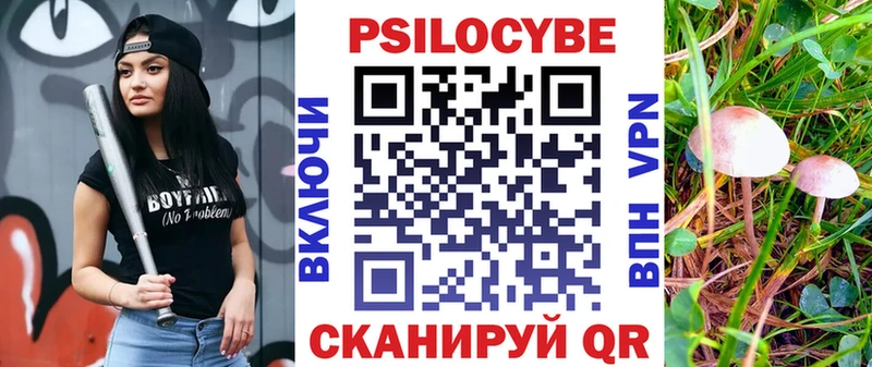 Псилоцибиновые грибы мицелий  Мурино 