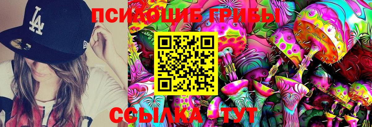Псилоцибиновые грибы Cubensis Мурино