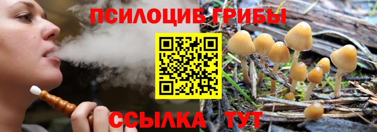 Галлюциногенные грибы мицелий  Вход с VPN  Мурино  Галлюциногенные грибы Magic Shrooms 