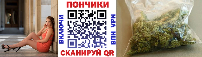 Бошки Шишки THC 21%  где купить наркоту  Мурино 